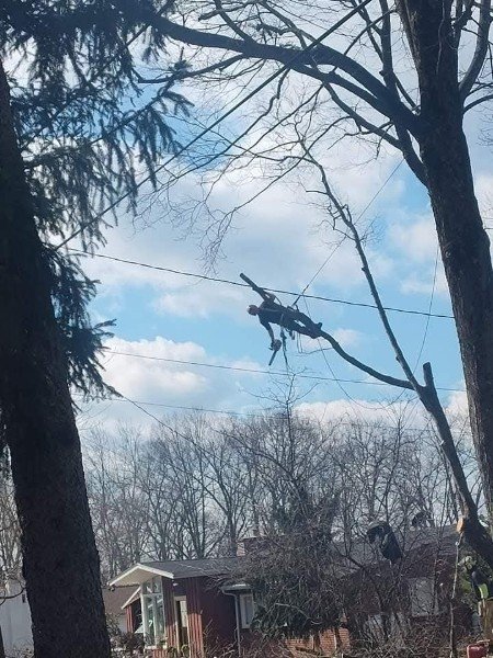 Working the canopy