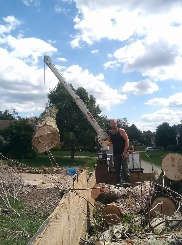 Crane lifting a log section