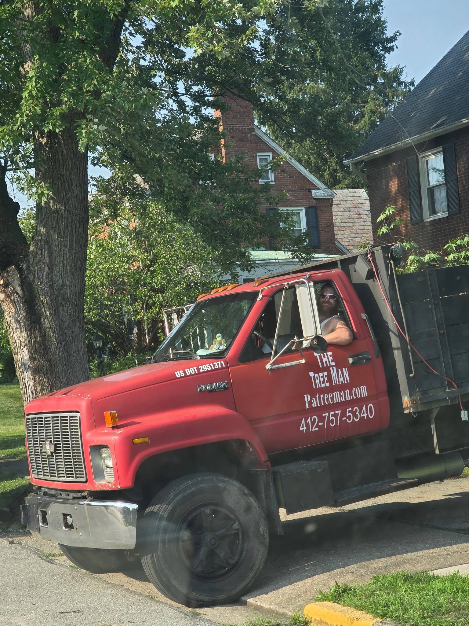 The Tree Man rig