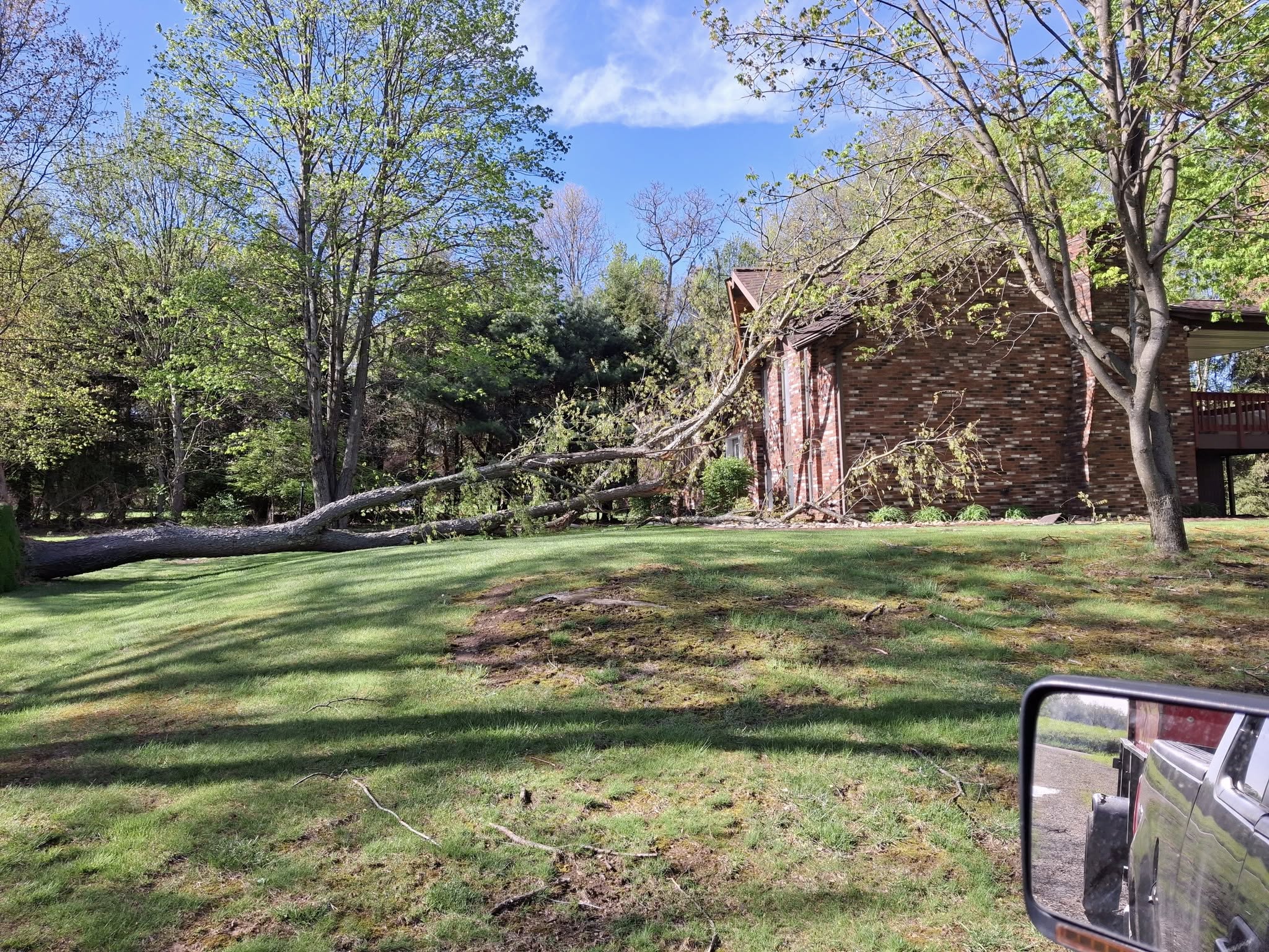 Fallen tree against a brick home